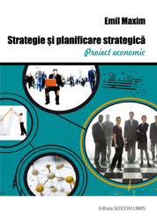 Strategie si planificare strategica. Proiect economic